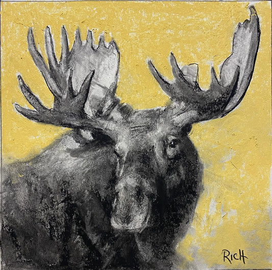 Aspen Bull