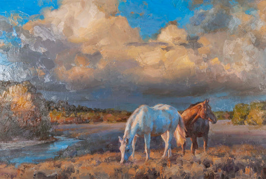 Big Sky Range Horses